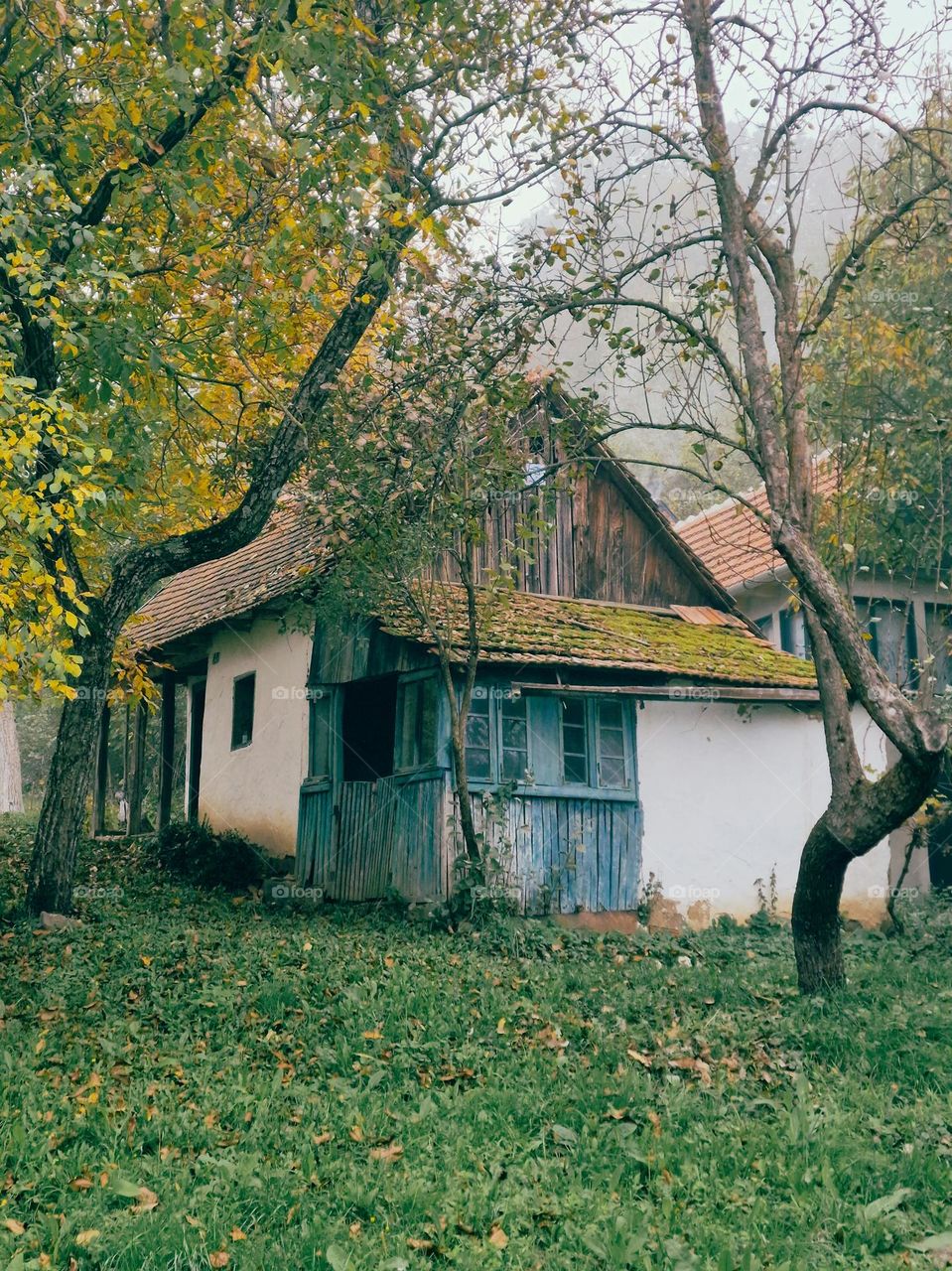 autumn in the village