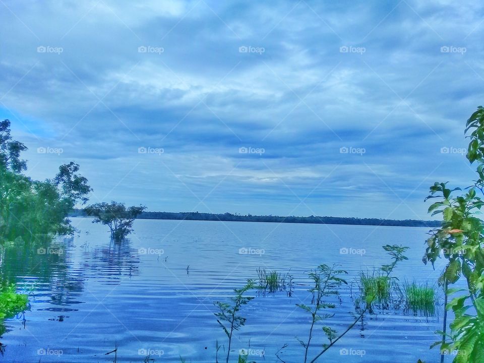 Views of the lake in Kalimantan Indonesia