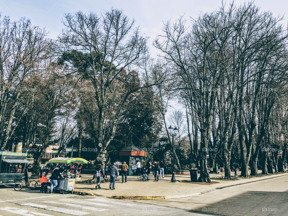 Plaza de Armas. Angol, Chile.