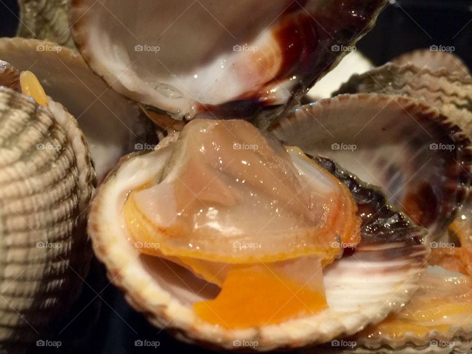 The delicious cockle