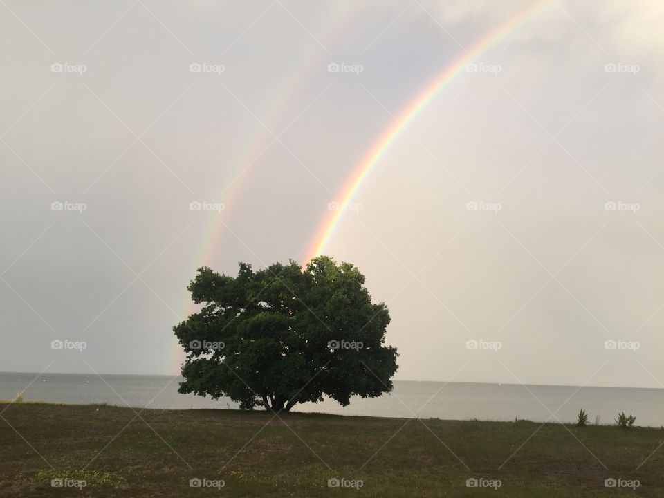 Magical rainbows tonight! 