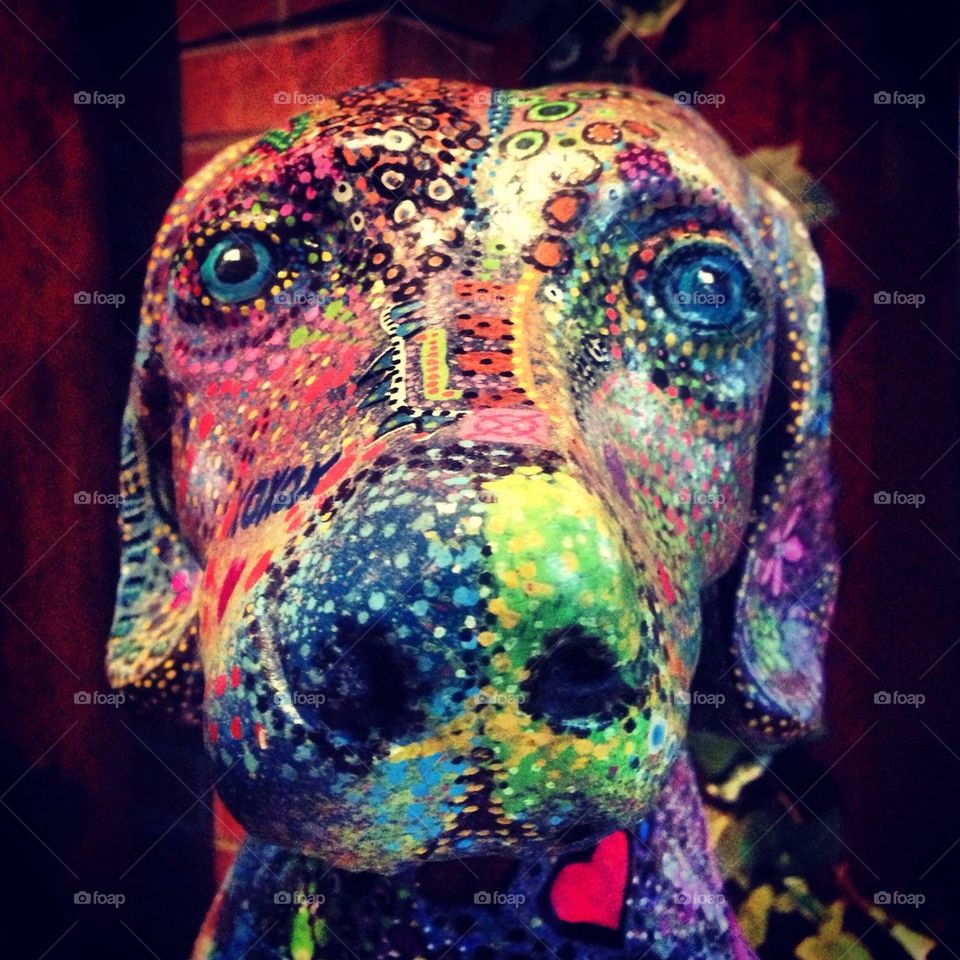 Painted Dog