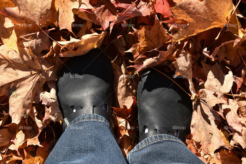 Shoes in sun dappled fall leaves