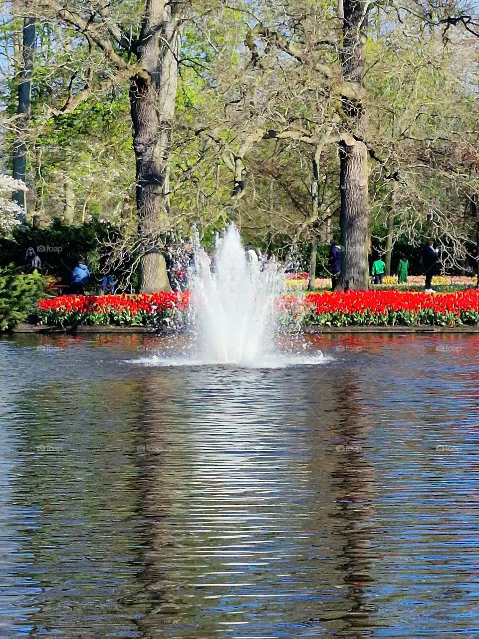 keukenhof