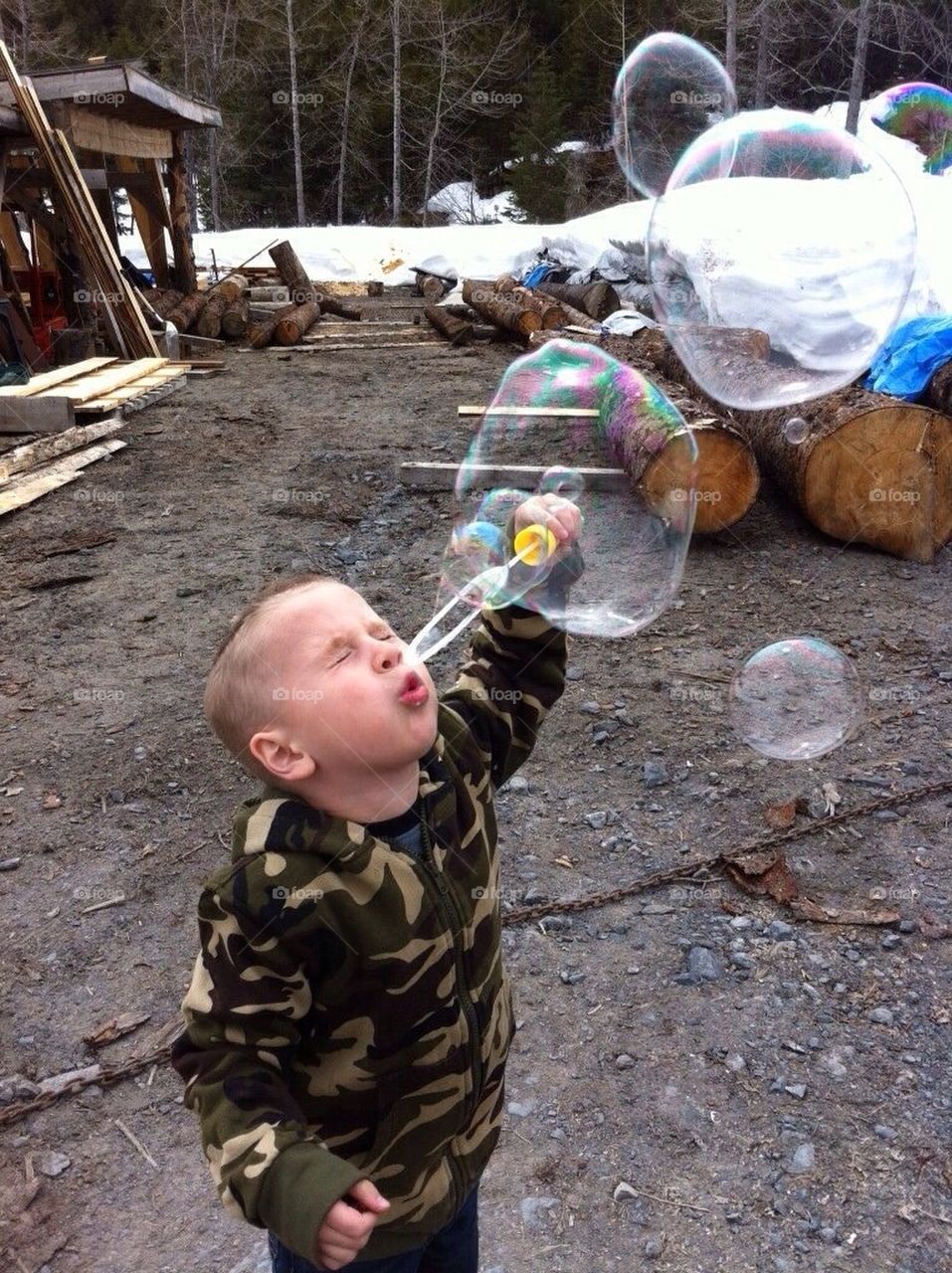 Bubbles 