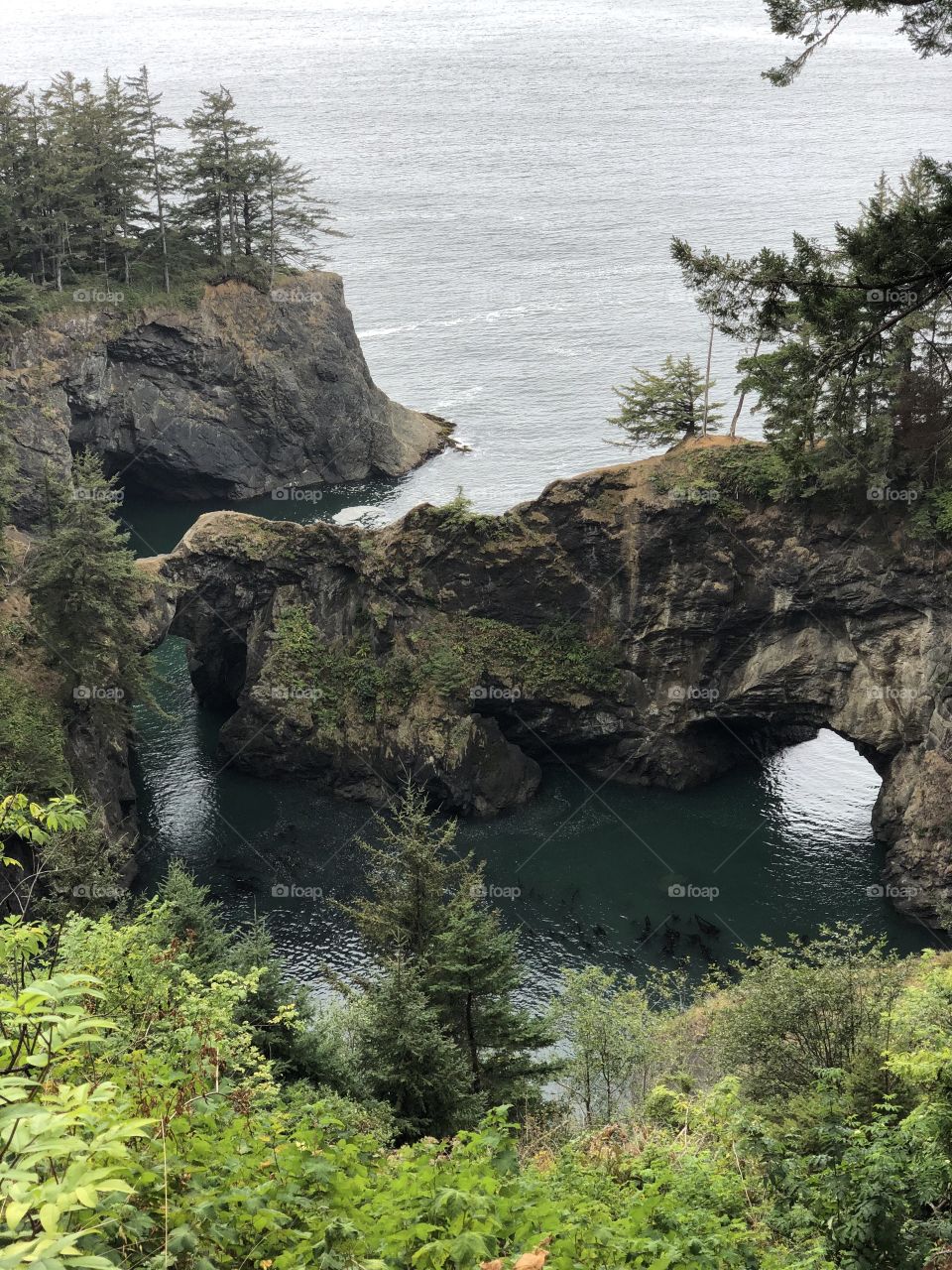 Natural Bridge