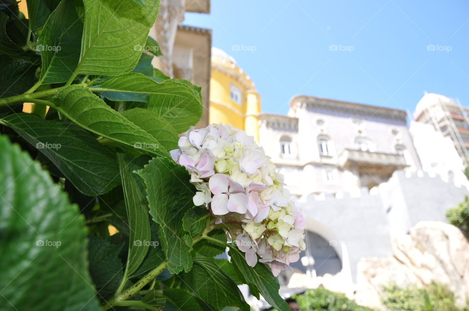 Pena palace in Sintra