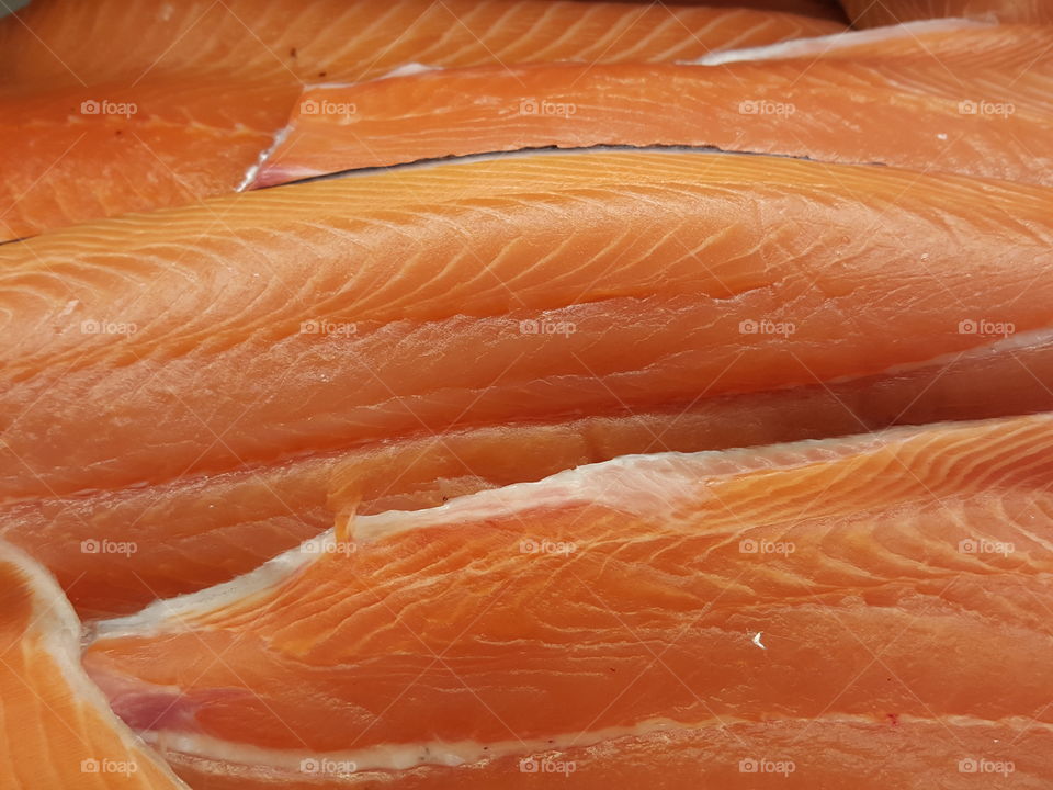 salmon