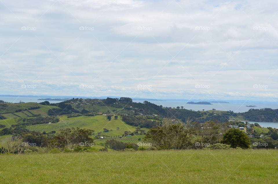 Bay in Waiheke