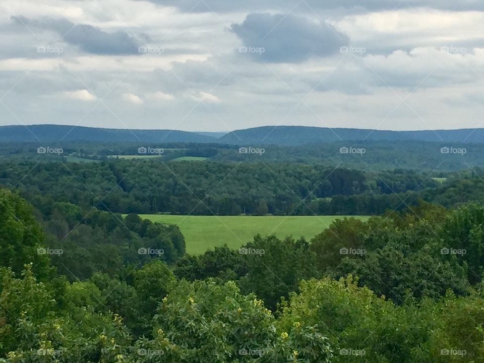 View from the observation tower 