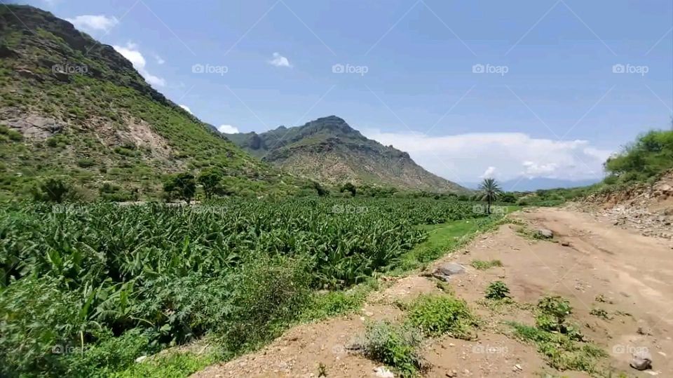 Glory be to God, the magnificent and picturesque view and the natural green trees are a view that is nothing more wonderful than it
