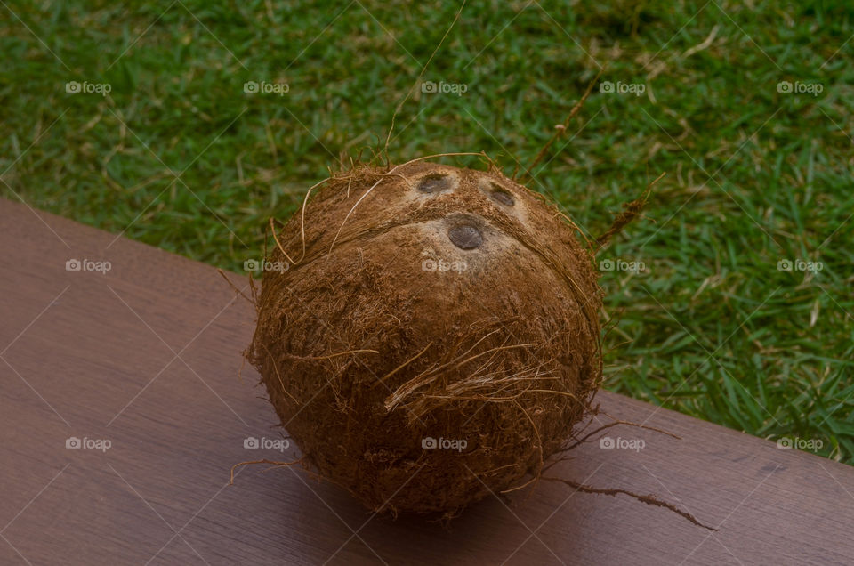 brazilian fruits: coconut