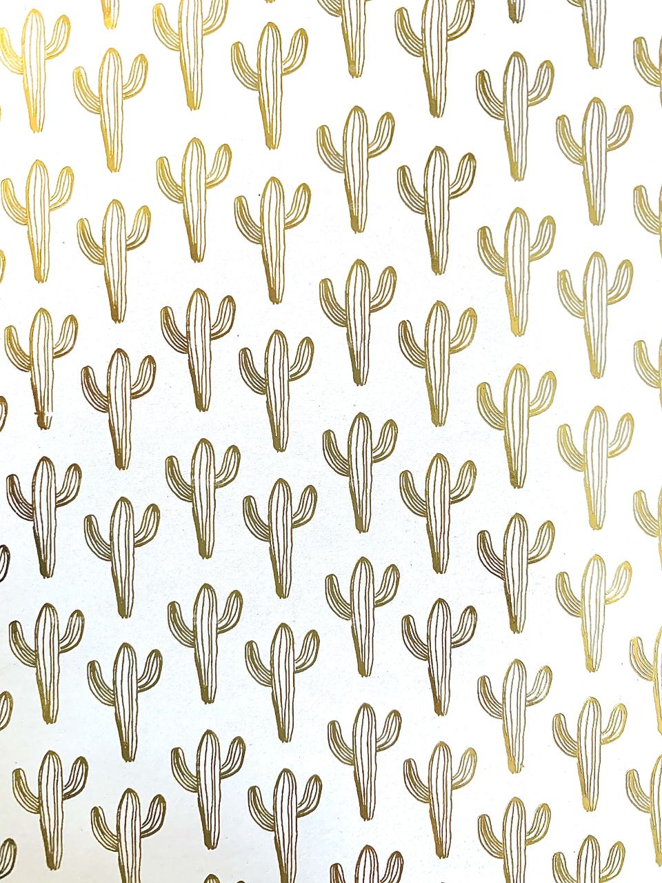 Cactus painting and picture - glowing cactus- golden glow 