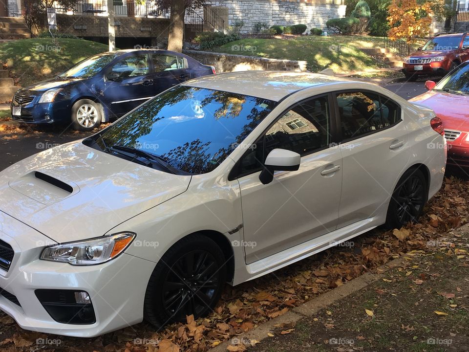 Subaru on the street in fall. 