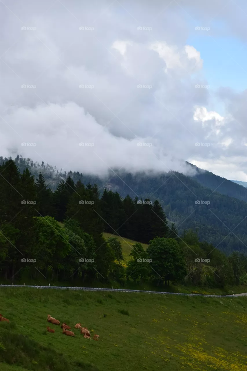 Wolken am Berg