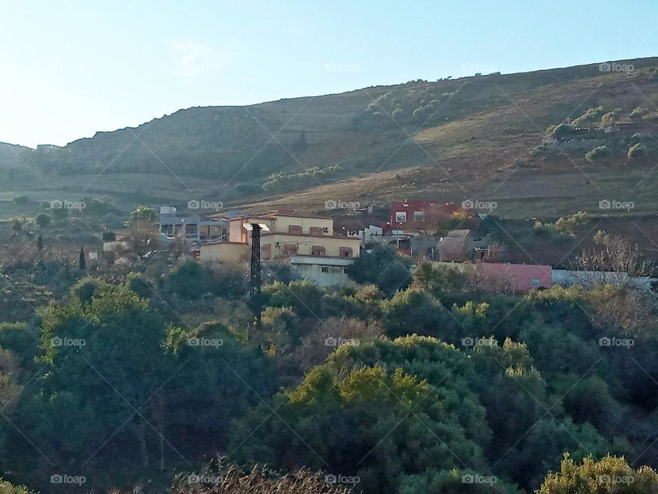 Population between the nature