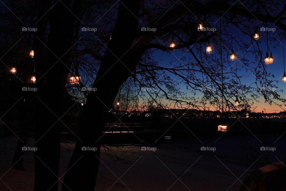 Lux Korkeasaari, Helsinki-Finland