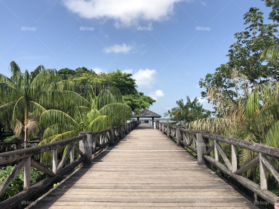 Bridge to the river and a hut to enjoy nature 