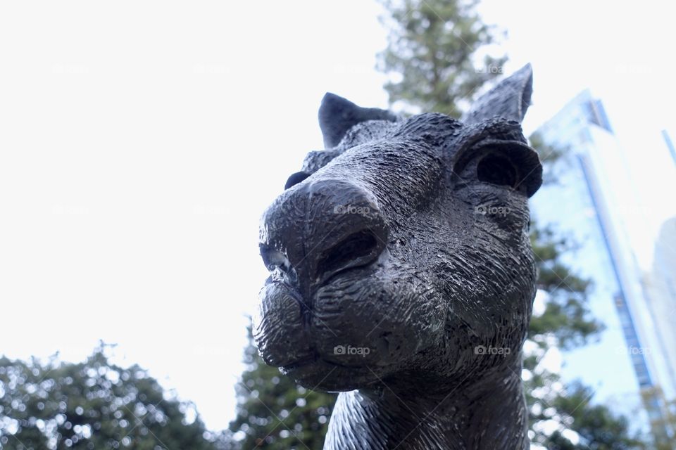 A kangaroo statue against a background of blurred trees and buildings, located in Stirling Gardens, Perth, Western Australia.