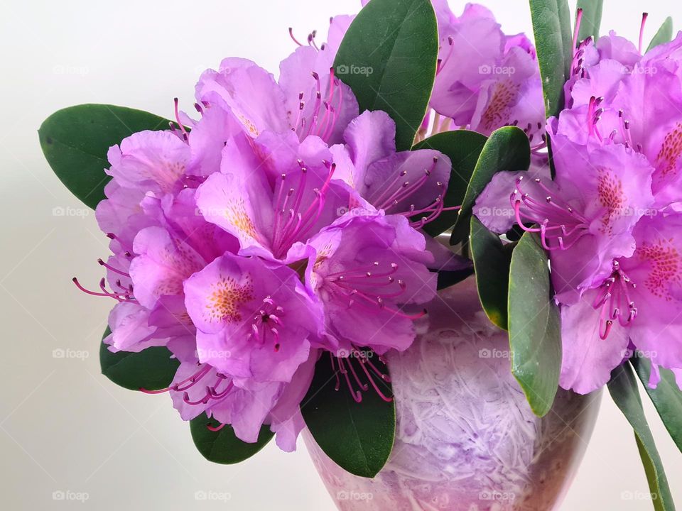 Flowers in a vase