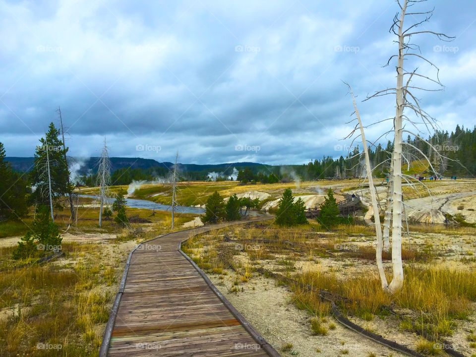 Yellowstone 