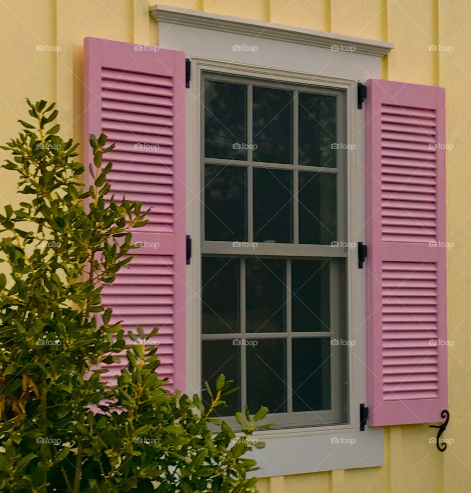 Pink Shutters on Window