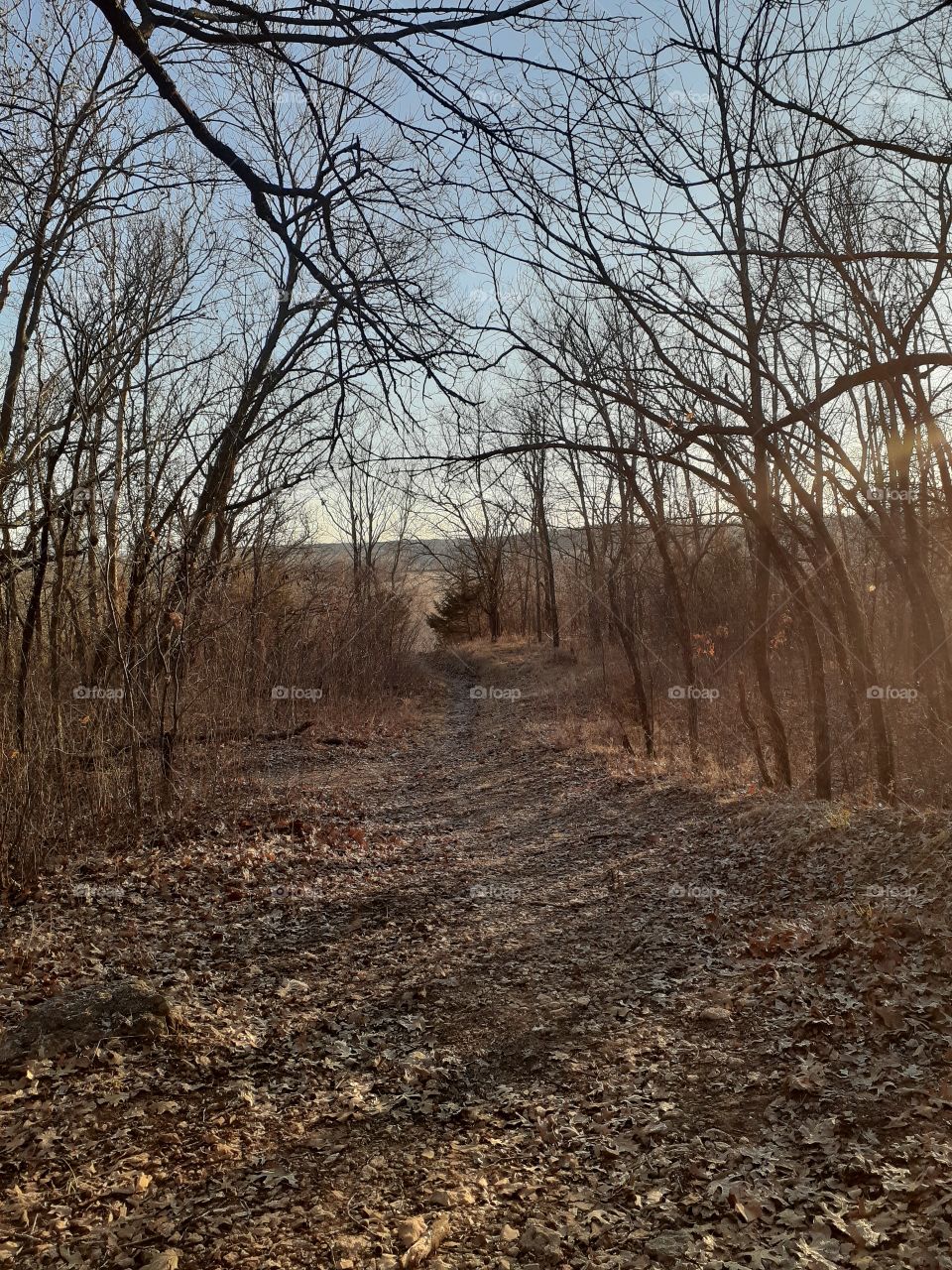 Little Mountain Trail