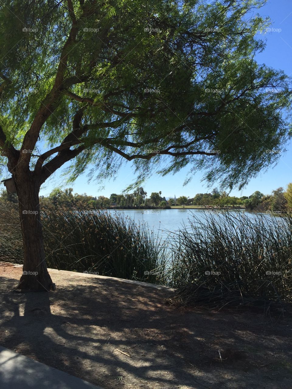 View of idyllic lake