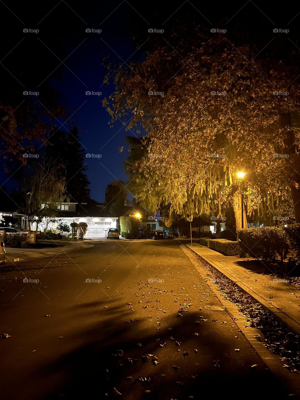 Street at Night time