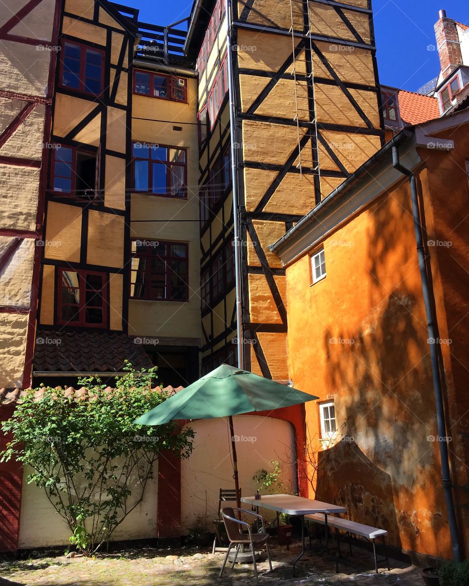 Copenhagen backyard a sunny day.