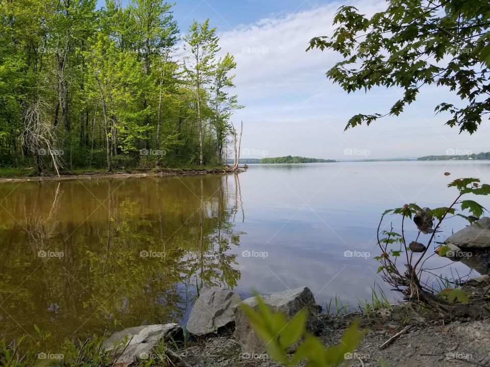 Nature at the Ottawa river