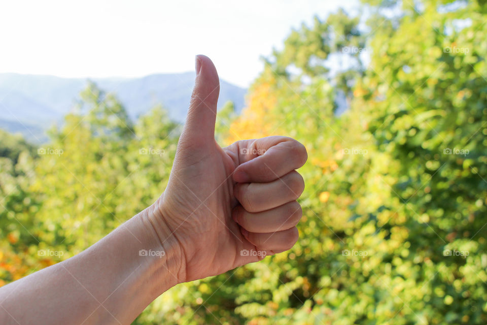 thumbs up to the nature