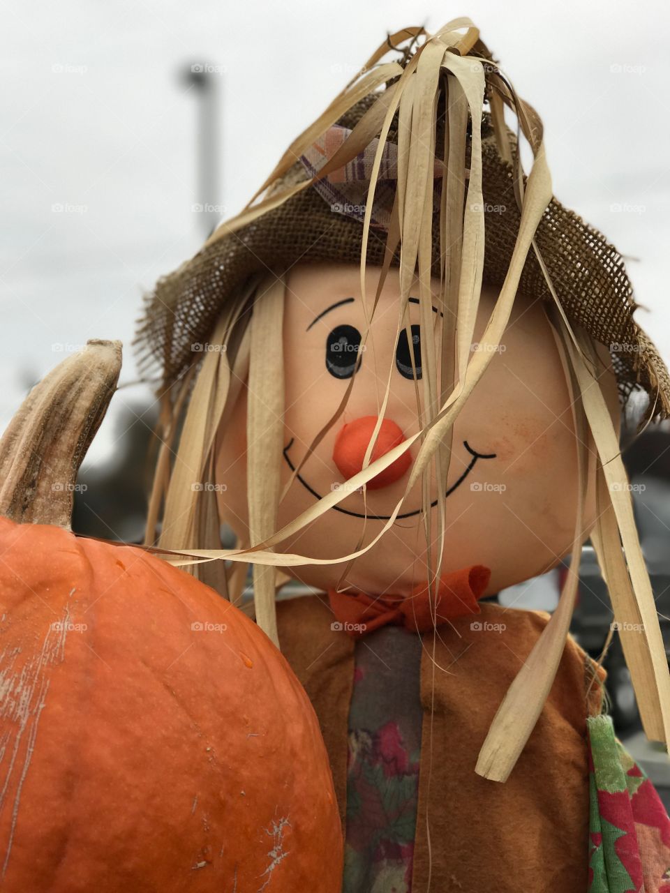 A harvest scarecrow with a pumpkin on a fall day. 