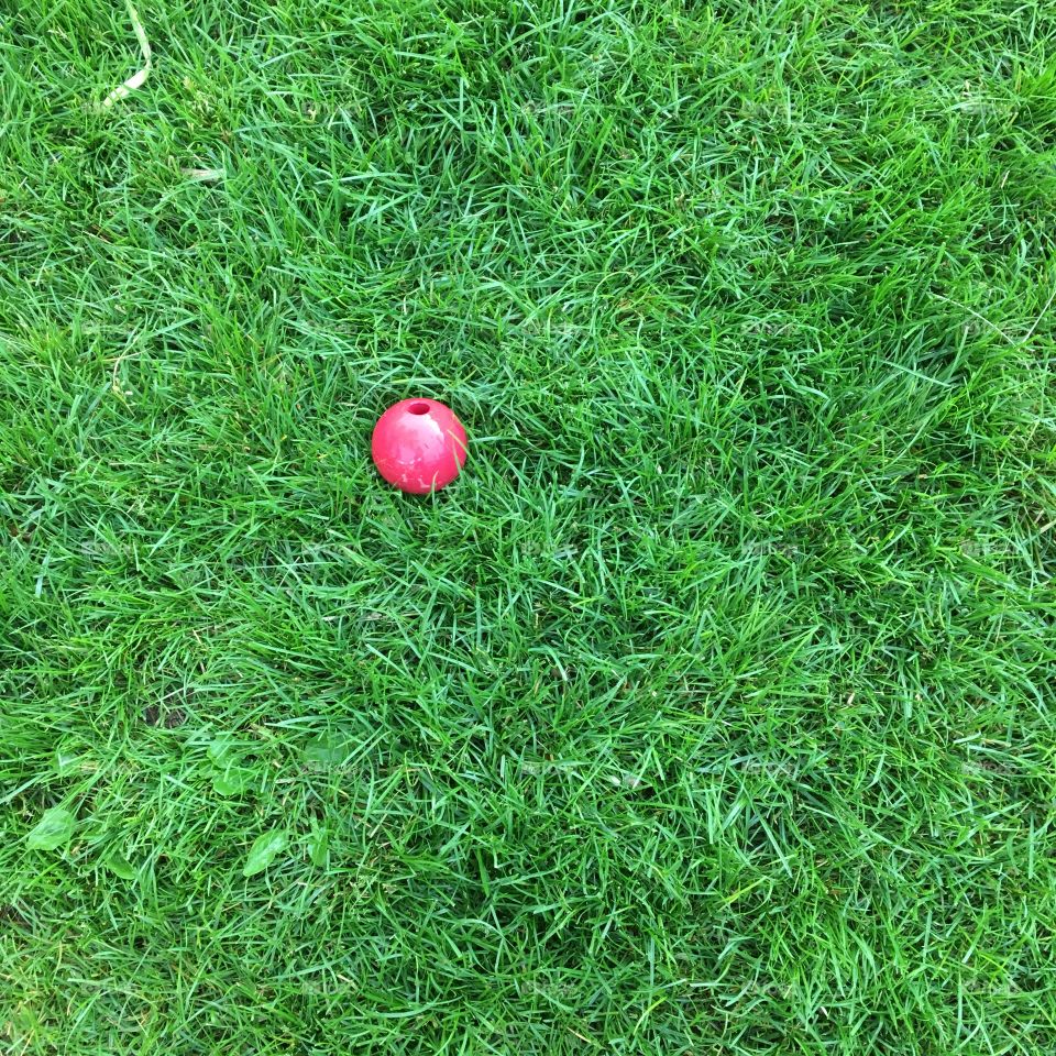 Red ball laying in green grass.