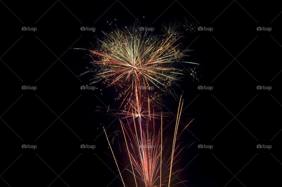 Fireworks Flower