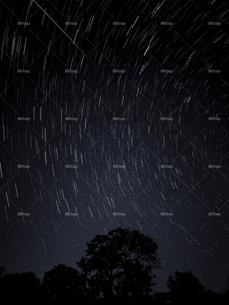 star trails!!