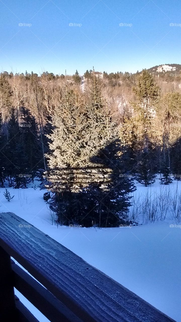 snow in mountains Colorado