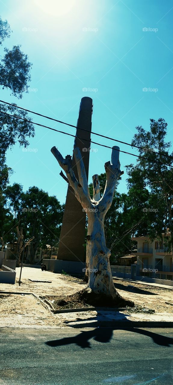 The tree and the chimney