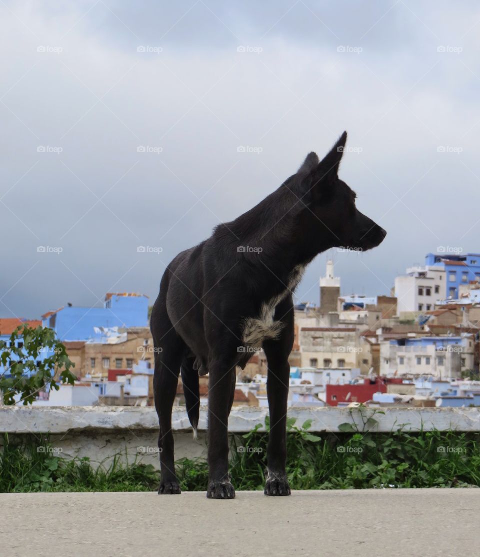 Overlooking the city