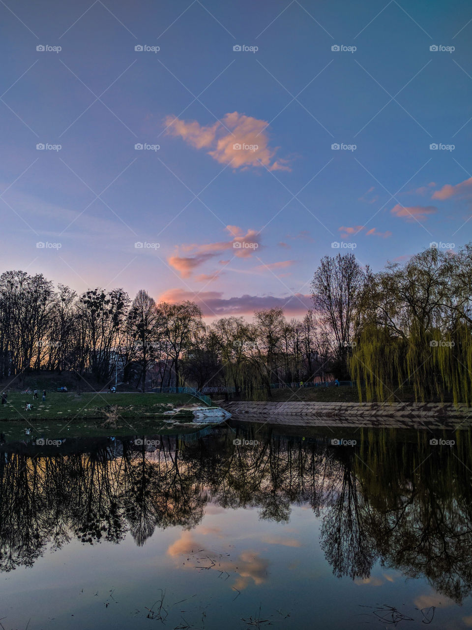 View of idyllic lake and city park