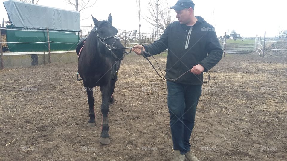 Man walks with horse in jail