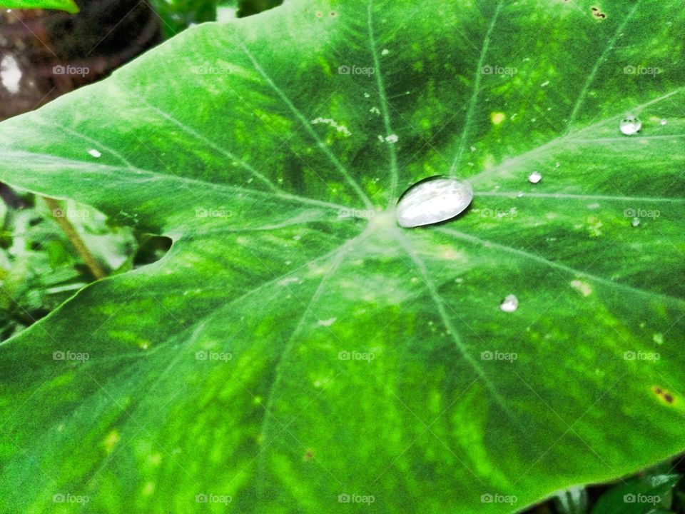 nalla pottouyy........