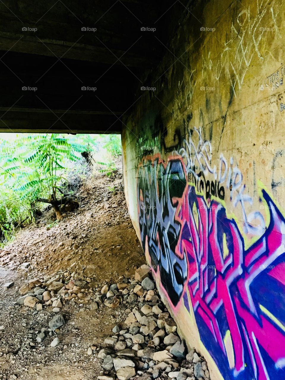 A prospective of a wall covered in graffiti under the bridge