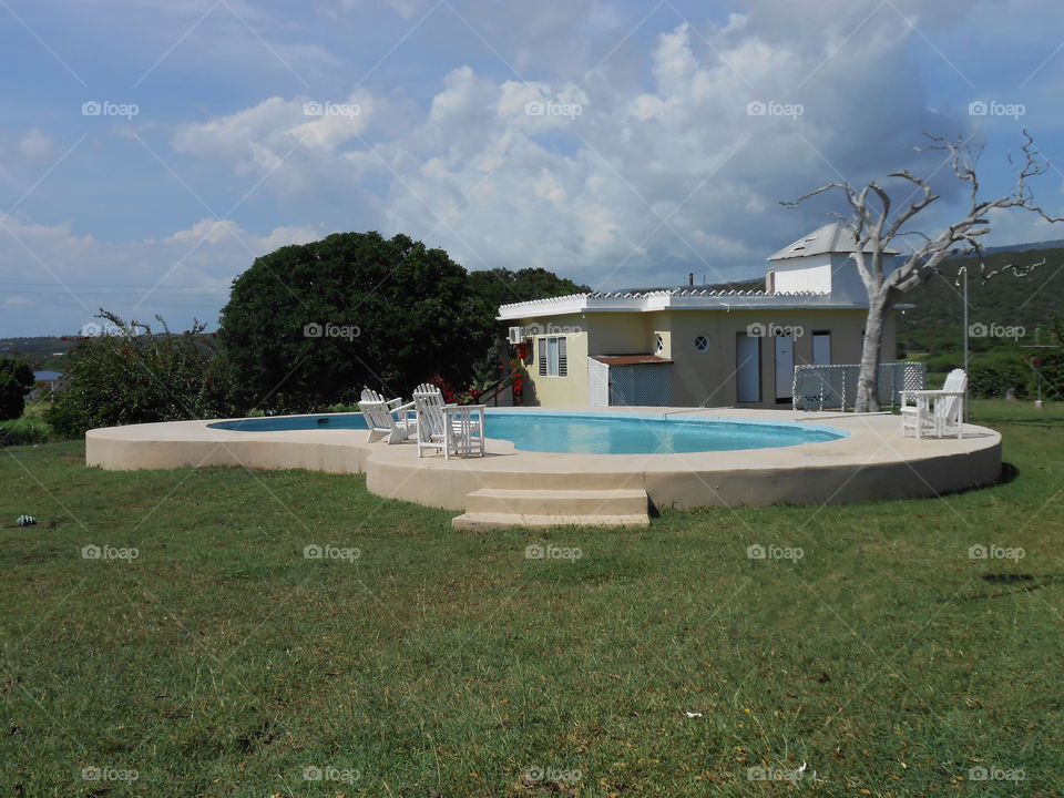 Landscape By The Pool