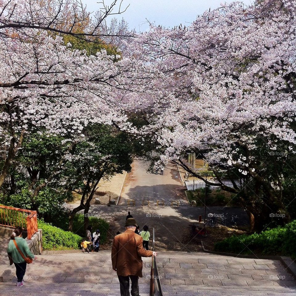 Beautiful day in Osaka 