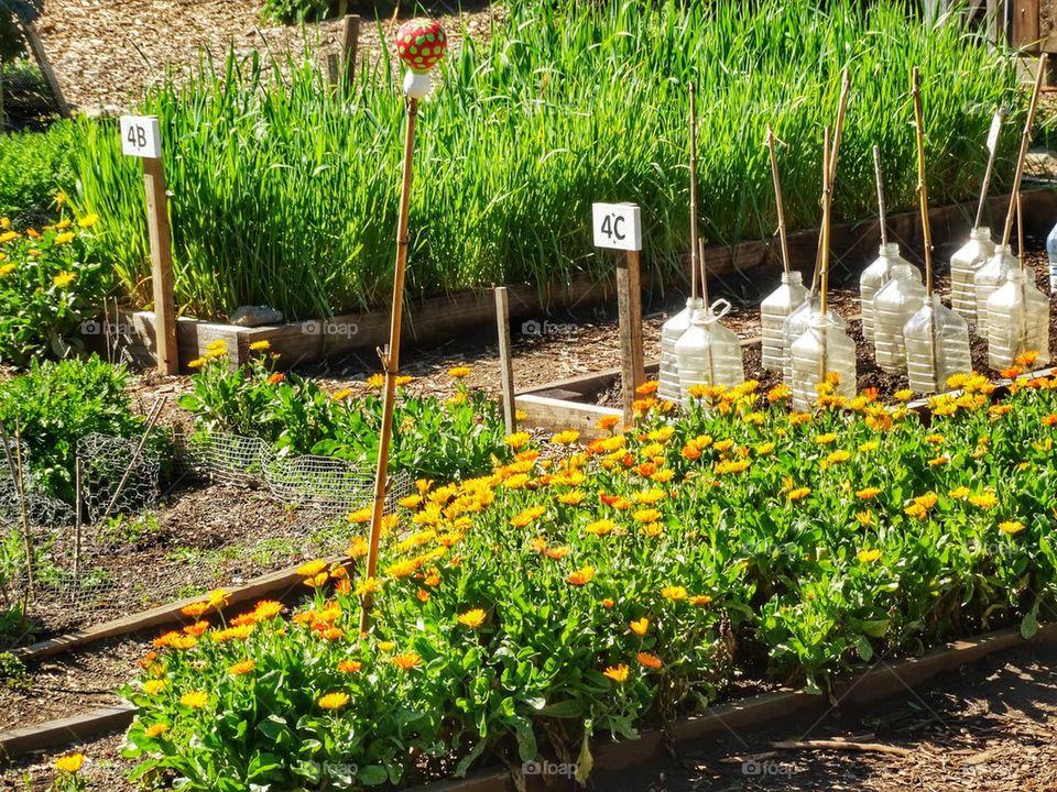 Repurposing Plastic Trash For Use In The Garden
