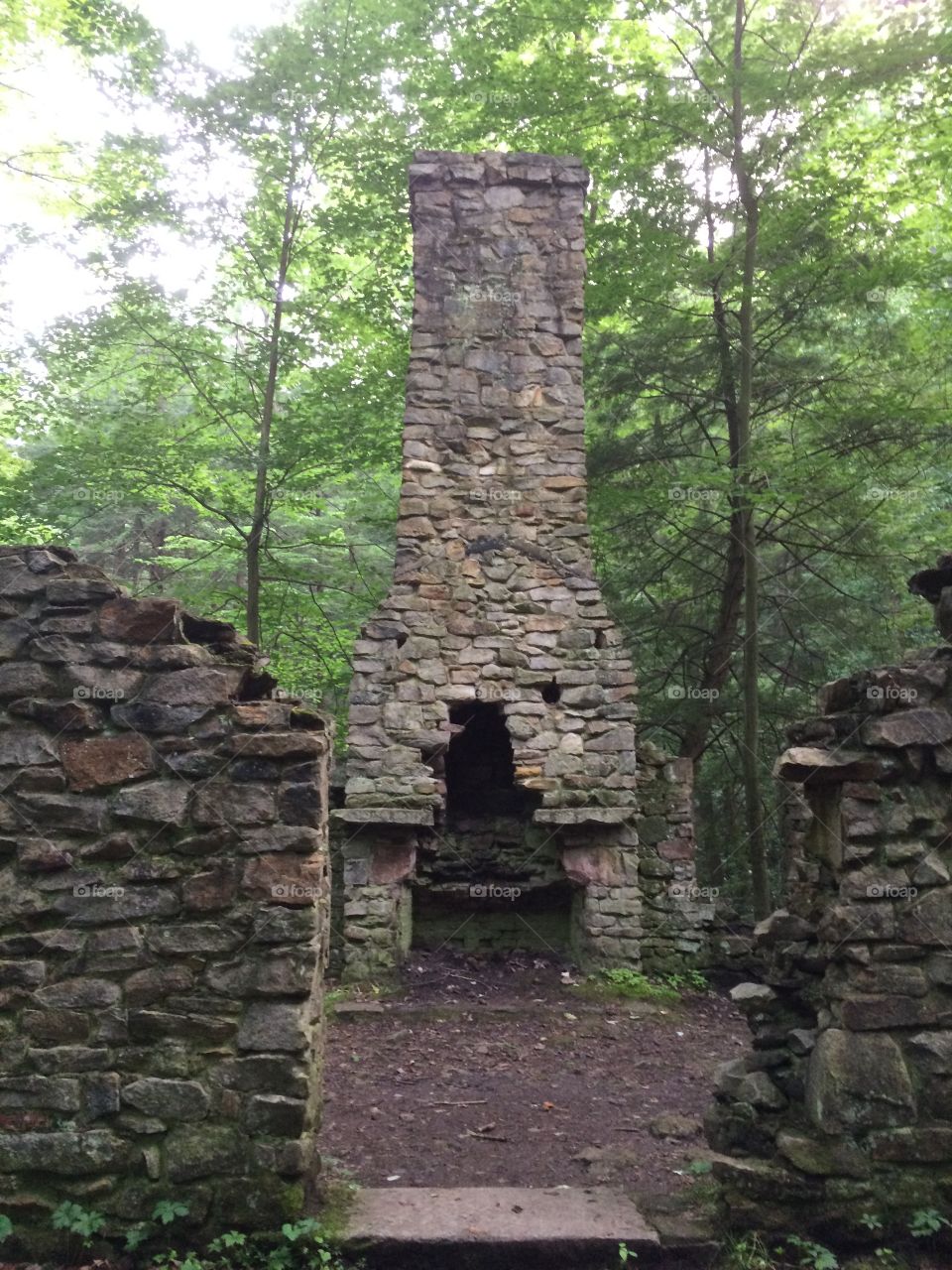 Ruins of a house. Found in the woods of PA near Linn State Park