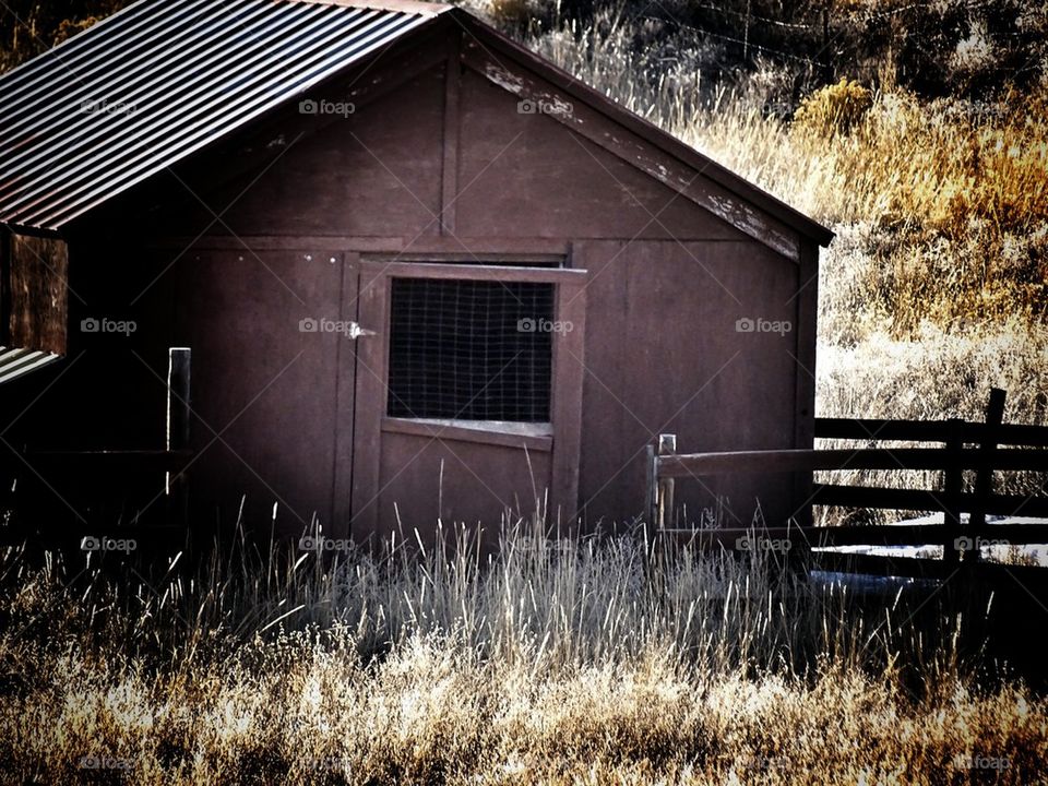 Barn