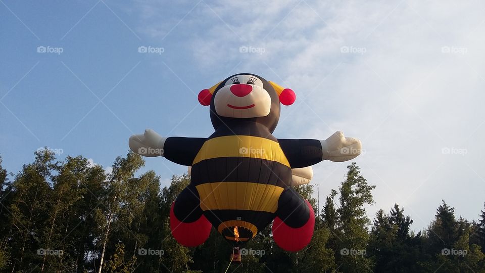 Bee