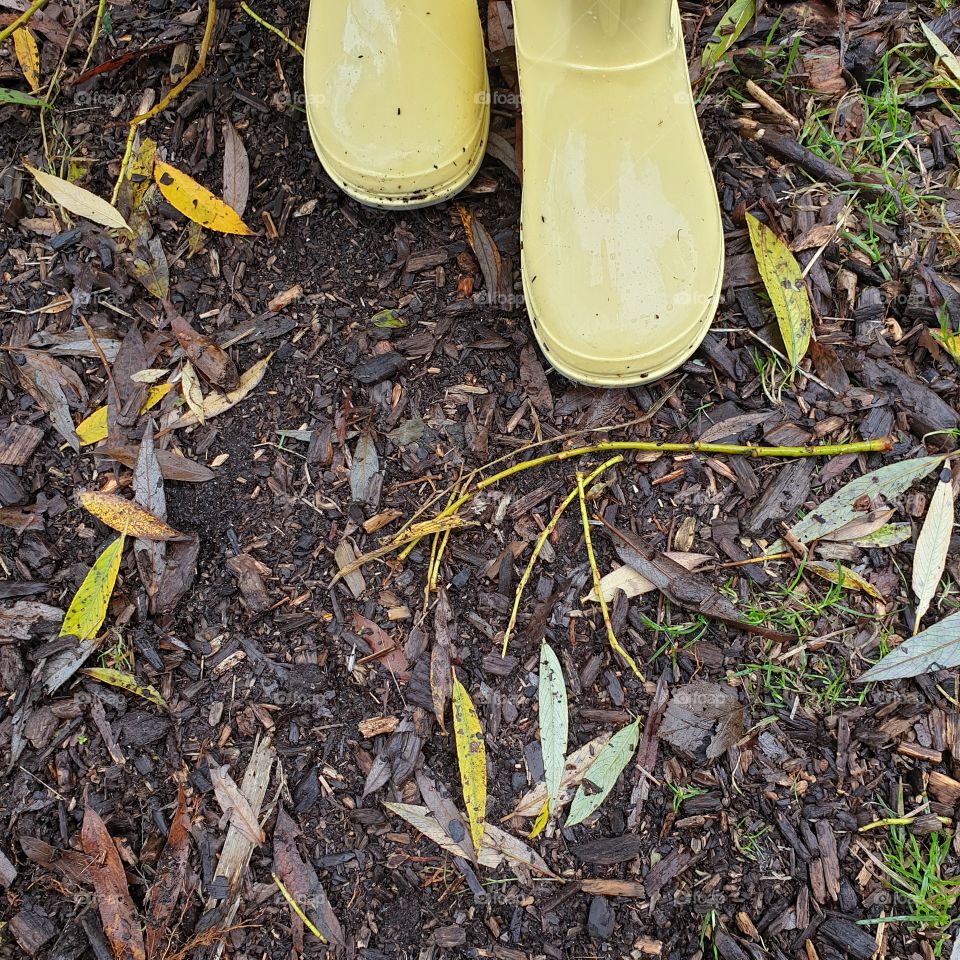 Yellow rainboots in the forest